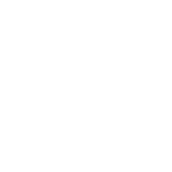 Wang's Mission